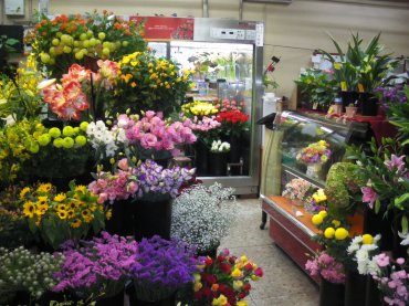 「ロフト」　（長崎県西彼杵郡時津町）の花屋店舗写真2